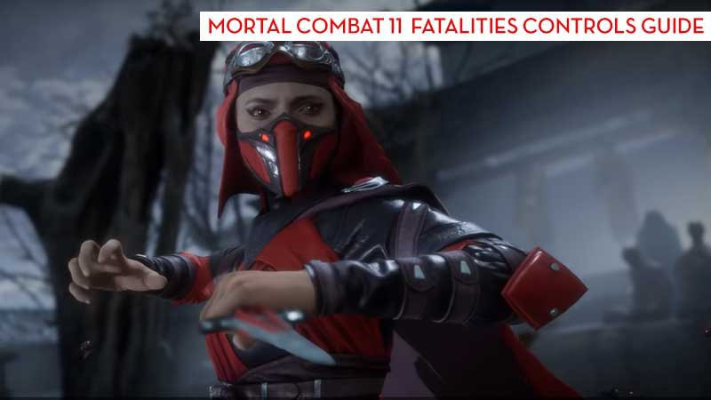mortal kombat 11 fatality