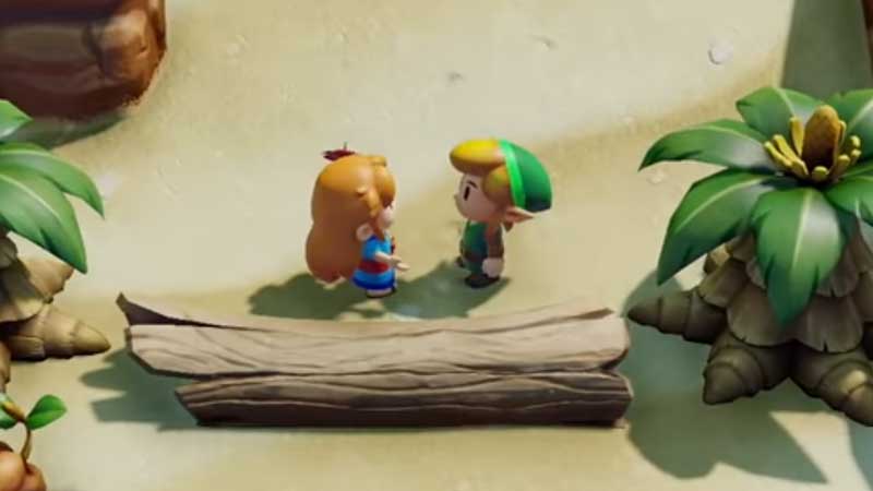 Zelda Links Awakening Find Marin