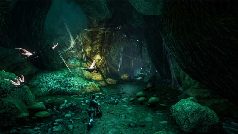 insect swarm ark survival evolved
