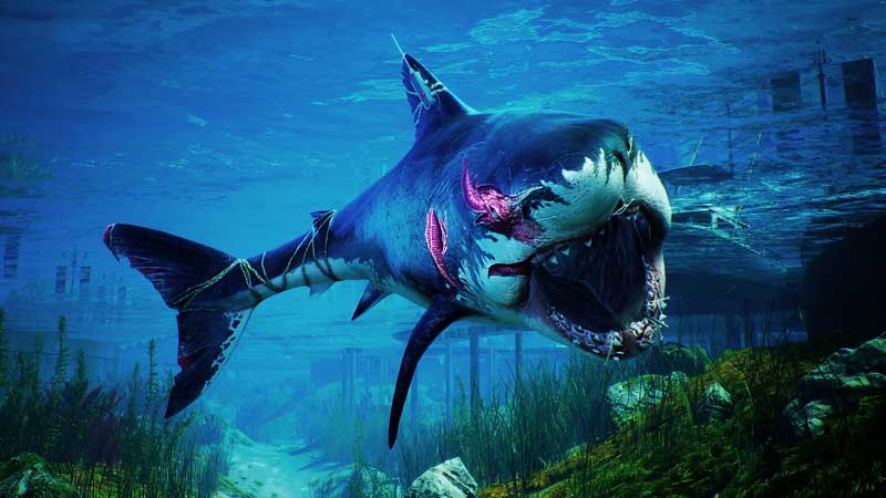 how-to-level-up-fast-in-maneater