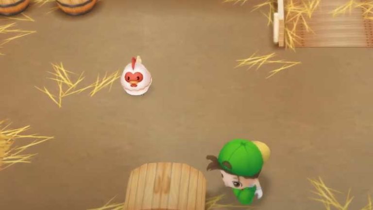 How To Buy & Raise Chickens In Story Of Seasons: Friends Of Mineral Town