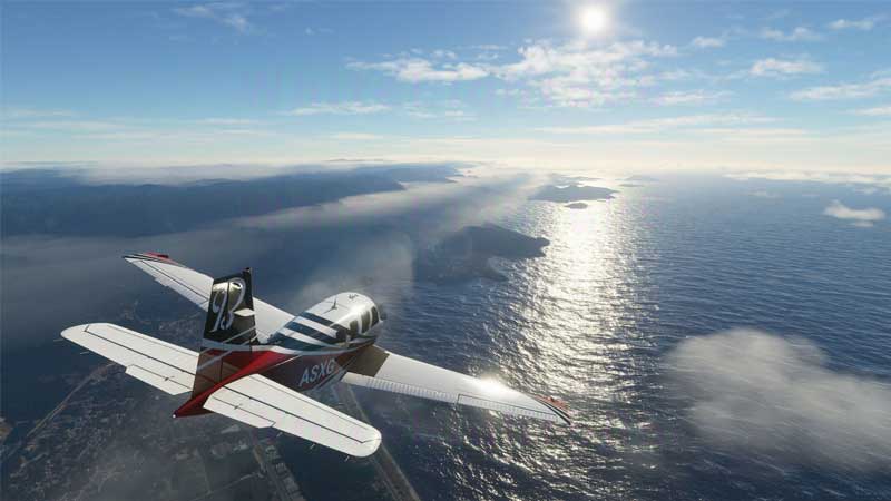flight simulator multiplayer