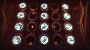All Wishes on the Wall of Wishes in Destiny 2’s The Last Wish Raid ...