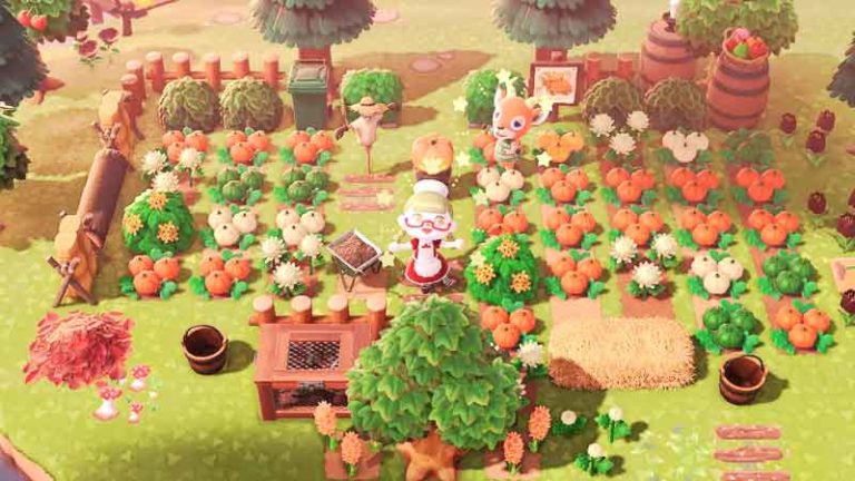 How To Change Pumpkin Color In Animal Crossing New Horizons
