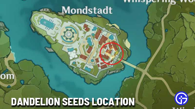 genshin-impact-dandelion-seeds-location