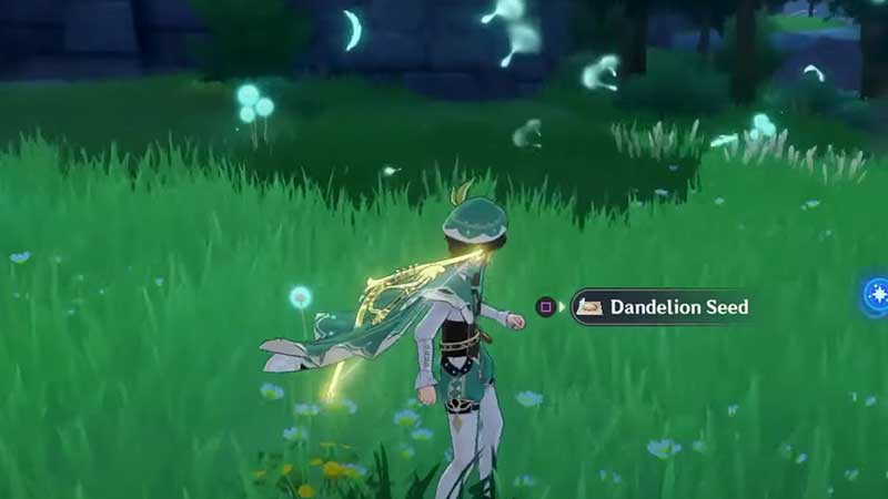 where-to-find-dandelion-seeds-genshin-impact