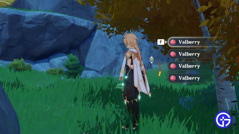 where to find valberry in genshin impact