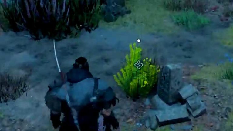 AC Valhalla: Where To Find Nightshade In East Anglia