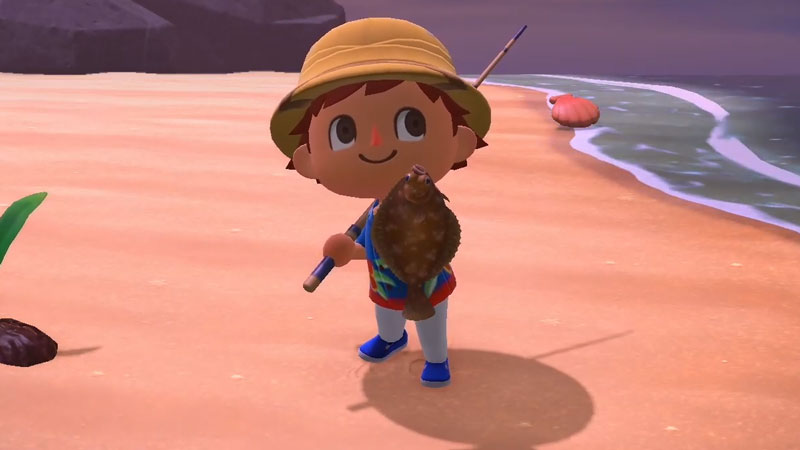 how to catch a dab fish in acnh