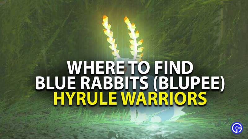 where to find blue rabbits in hyrule warriors age of calamity