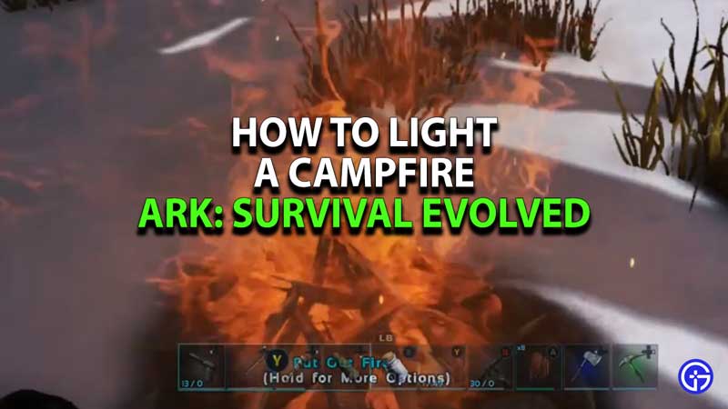 how-to-make-campfire-ark-survival-evolved