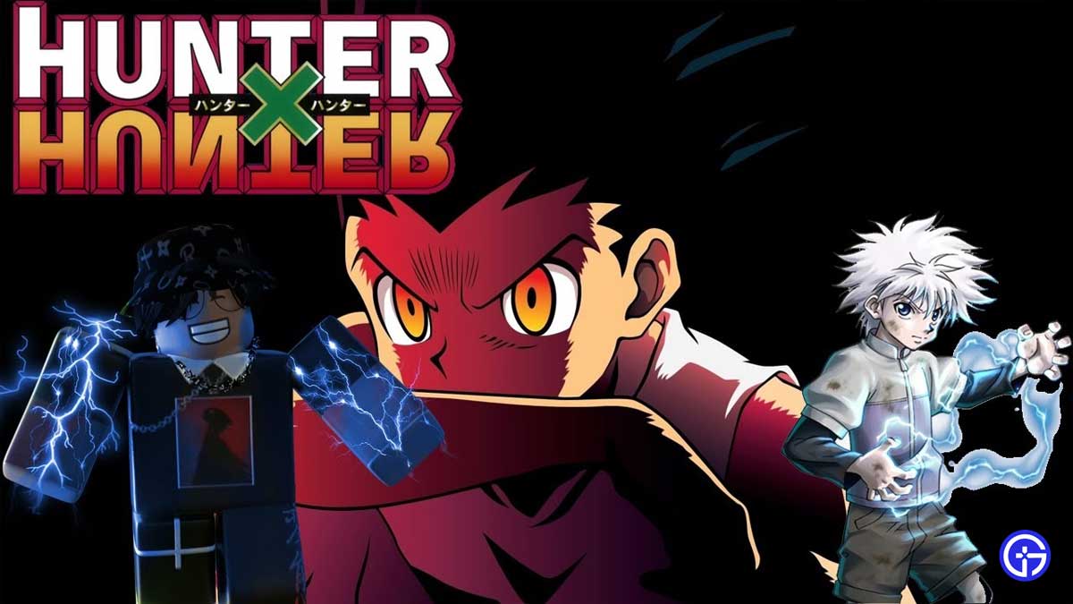 Hunter X Hunter Ultimate Finale Codes
