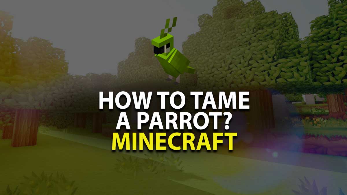 How to Tame a parrot in Minecraft?