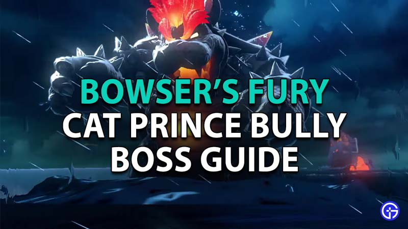 Cat Prince Bully Bowser's Guide