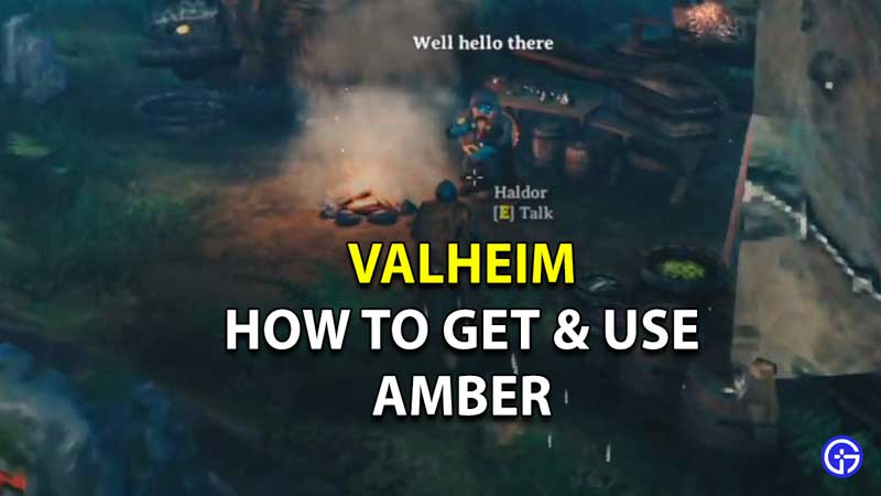 how to get and use amber in valheim