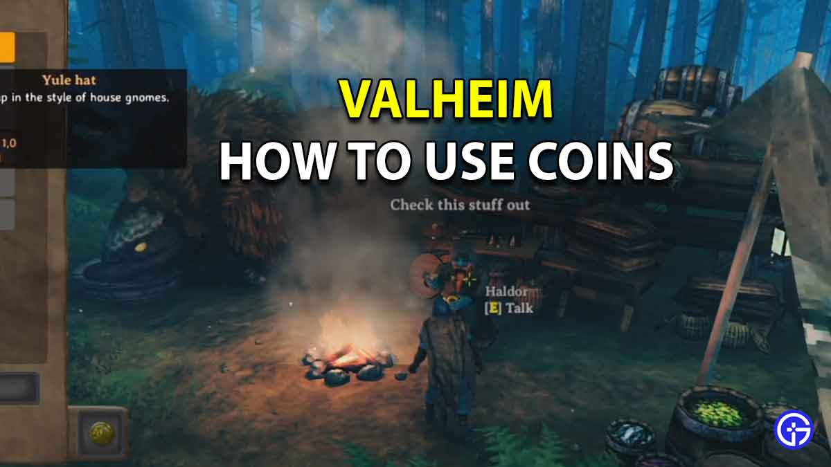 How To Use Coins In Valheim