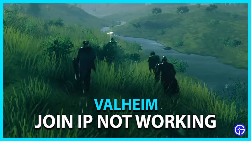 Valheim Join IP Not Working