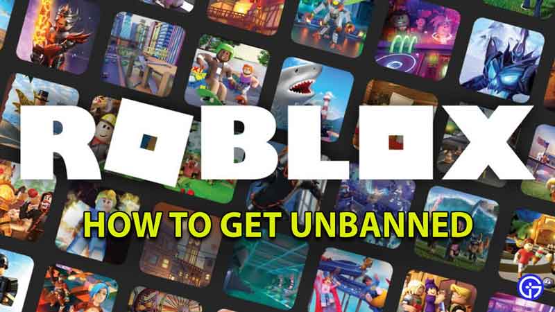 how to unban account roblox