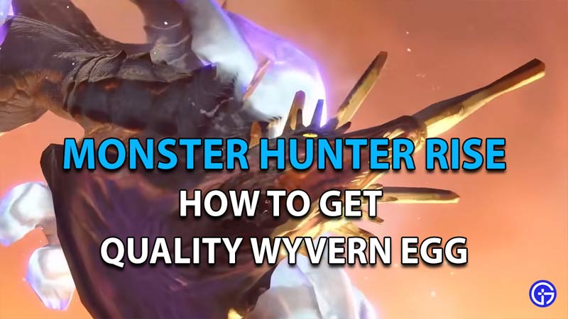 How To Get Quality Wyvern Egg In Monster Hunter Rise