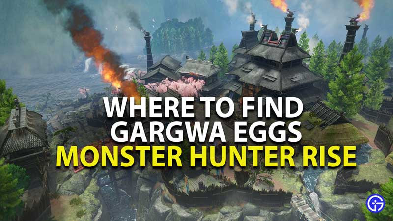 where to find gargwa egg in monster hunter rise