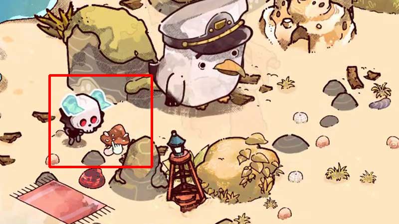 cozy grove imps feeding guide
