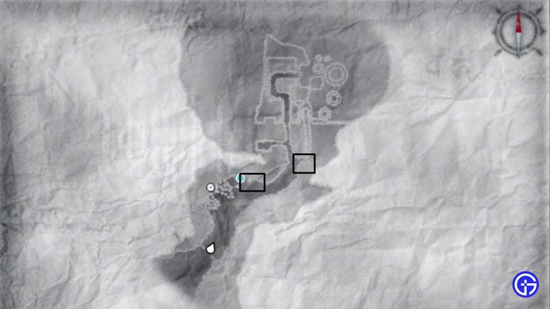 Lizard Tail Location