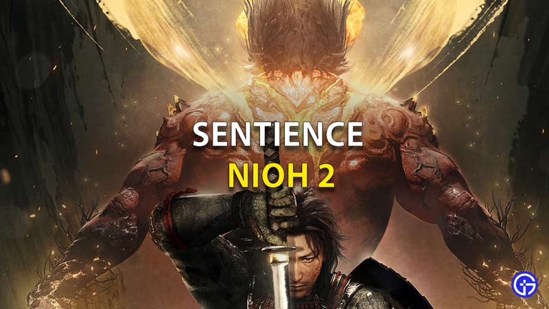 Sentience-Nioh-2