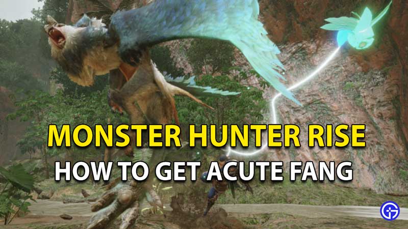 Monster Hunter Rise Acute Fang