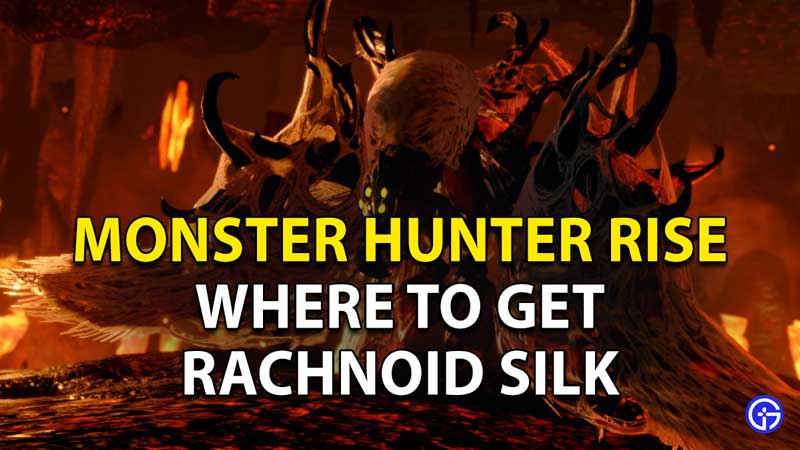 Monster Hunter Rise Rachnoid Silk