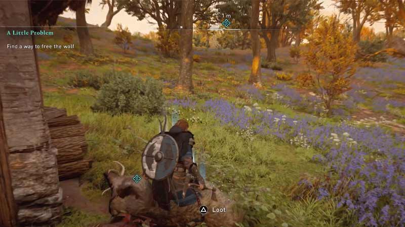 A Little Problem Quest AC Valhalla