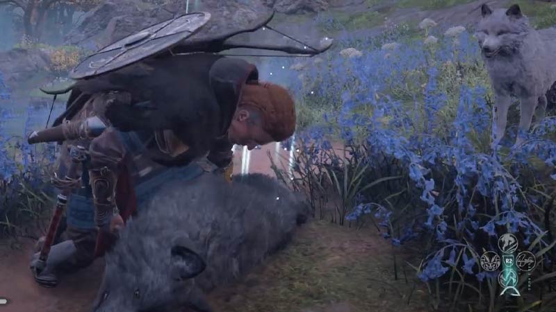 A Little Problem Quest AC Valhalla
