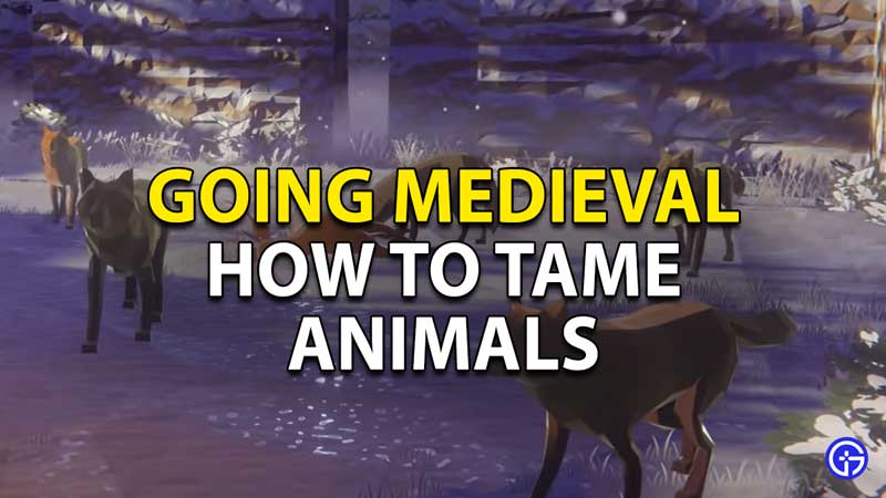 Going Medieval: How To Tame Animals