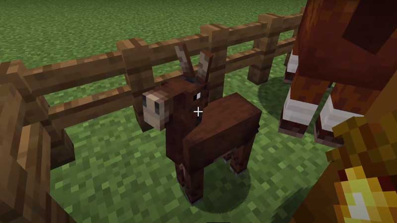 mule minecraft