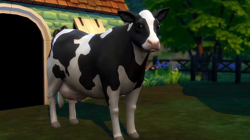 how to befriend all animals cottage living cheat
