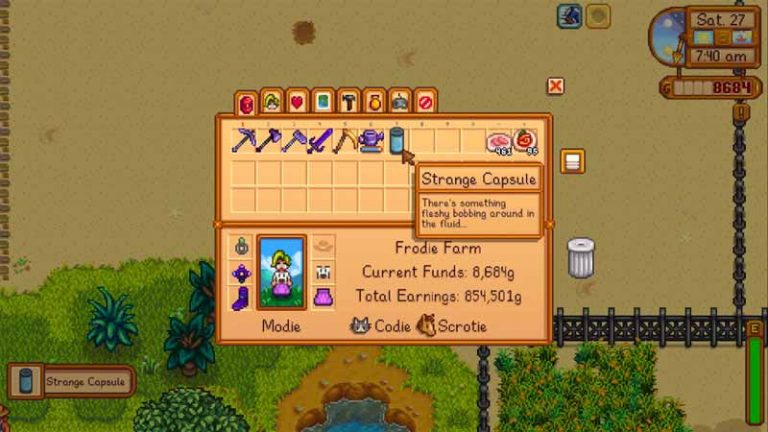 Stardew Valley - A Strange Sound Was Heard In The Night Message