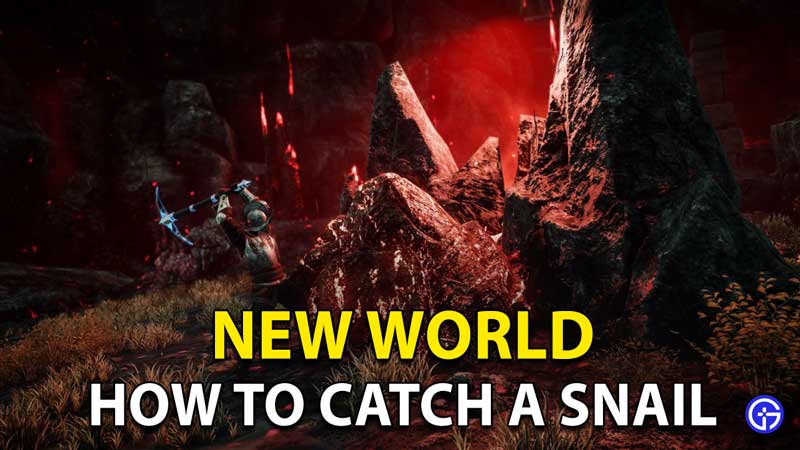 New World Catch Snail