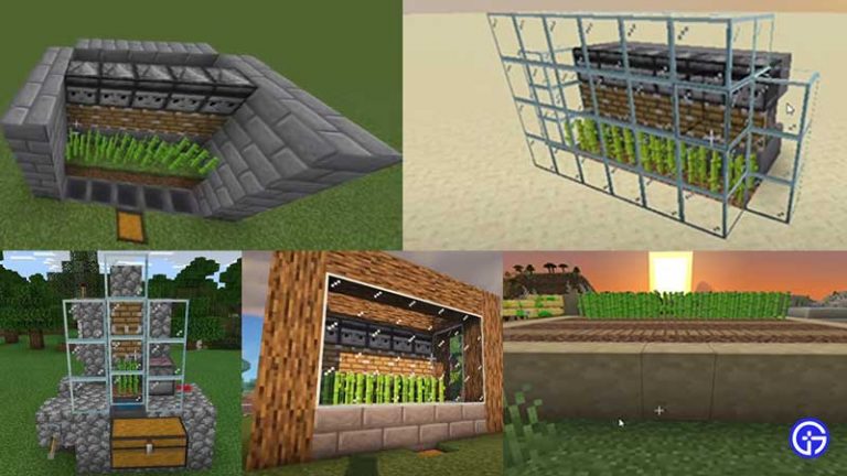 How To Make Sugarcane Grow Fast In Minecraft - Gamer Tweak