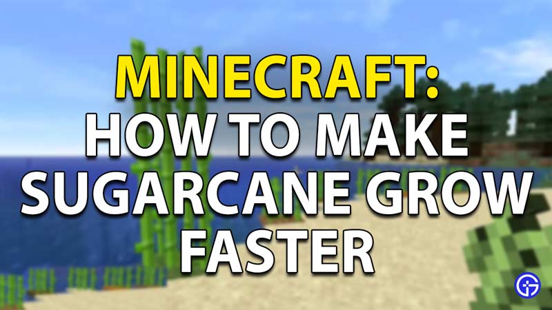 sugarcane minecraft