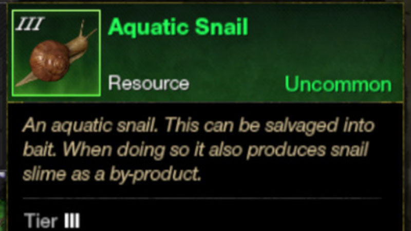 New World Catch Snail