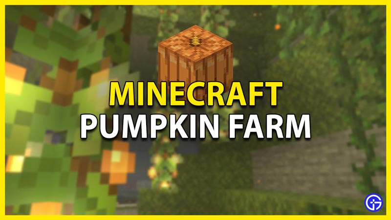 how to make a pumpkin farm in minecraft