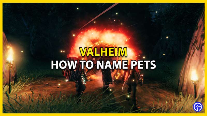 how to name pets in valheim