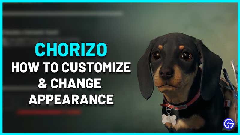 how to customize change appearance of chorizo in far cry 6