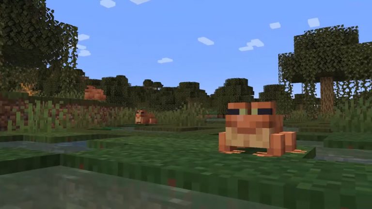 Frogs Minecraft 1.19 The Wild Mangrove Biome Update Location