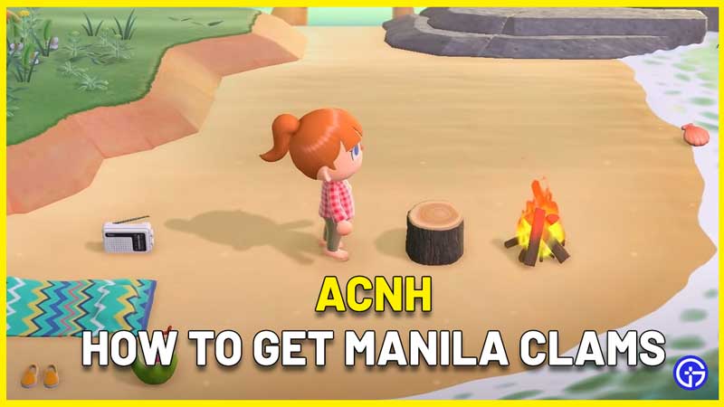 acnh how to get manila clams