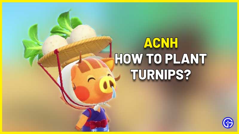Animal Crossing New Horizons acnh