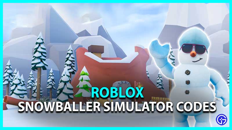 Snowballer Simulator Codes