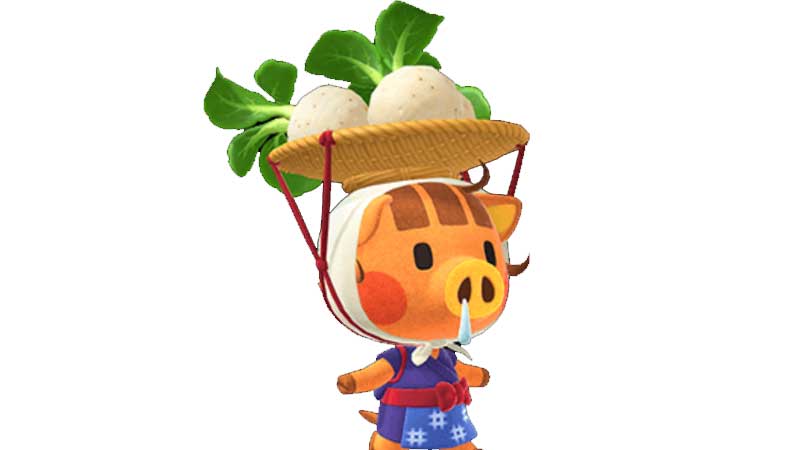 can you plant turnips in Animal Crossing New Horizons