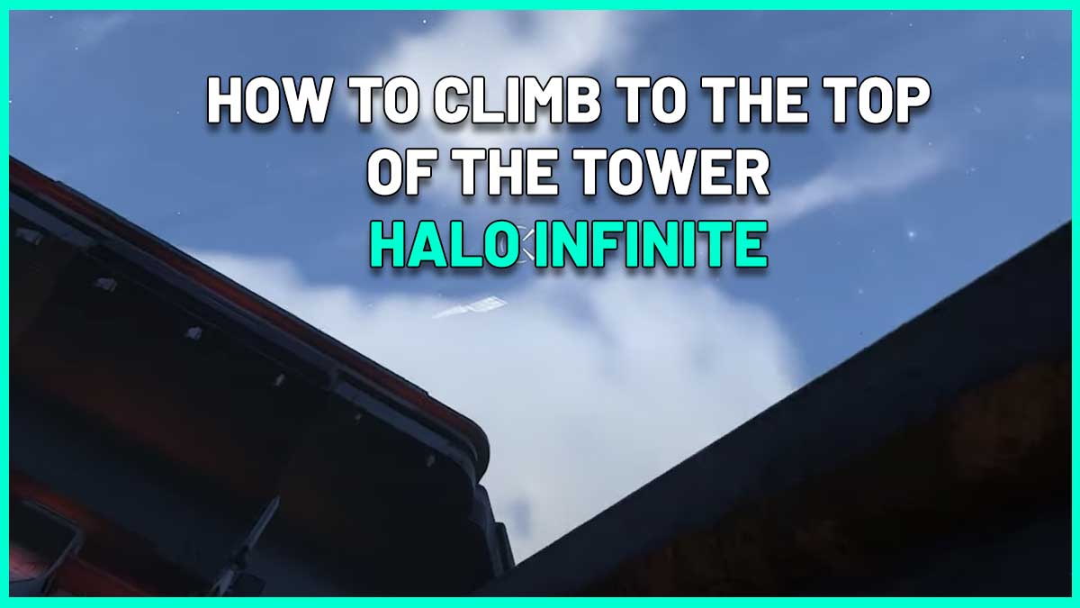 how to climb top of tower halo infinite