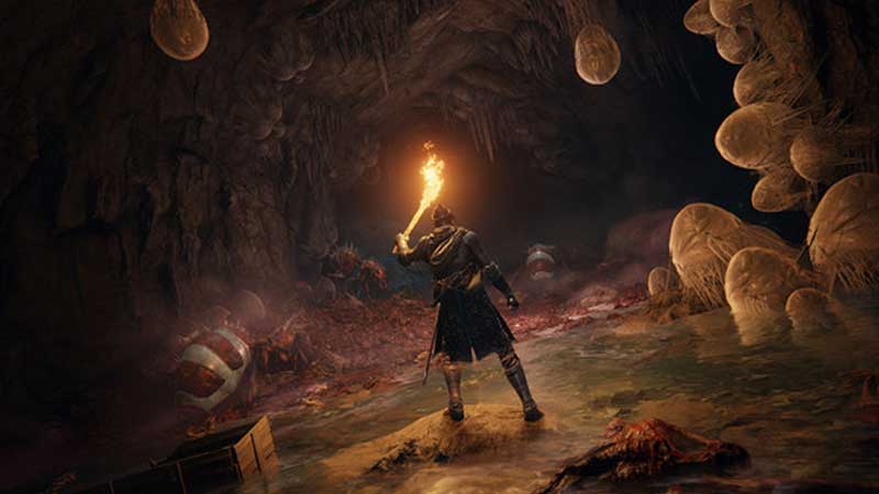 all-map-locations-elden-ring-limgrave