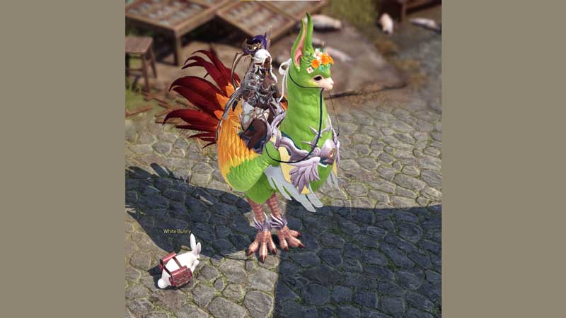 kiwi-lost-ark-chamkuri